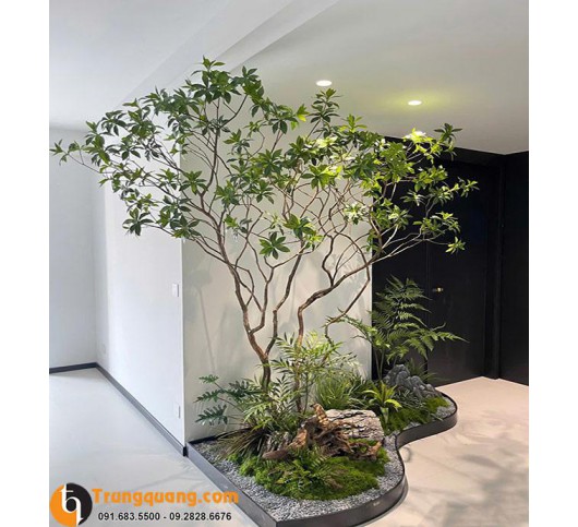 Cây Giả Decor Góc Nhà Nội Thất: Tối ƯU Không Gian Sống, Phong Thủy Chiêu Tài & Giải Pháp Decor Bền Đẹp Theo Thời Gian