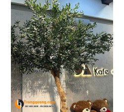 Cây Olive Giả - Cây Cảnh Nhân Tạo Phong Cách Địa Trung Hải Sang Trọng, Bền Đẹp Vượt Thời Gian