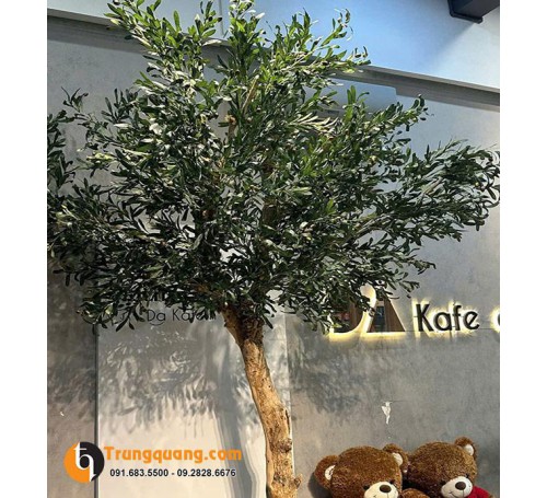 Cây Olive Giả - Cây Cảnh Nhân Tạo Phong Cách Địa Trung Hải Sang Trọng, Bền Đẹp Vượt Thời Gian