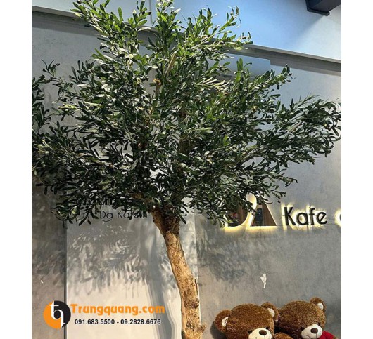 Cây Olive Giả - Cây Cảnh Nhân Tạo Phong Cách Địa Trung Hải Sang Trọng, Bền Đẹp Vượt Thời Gian
