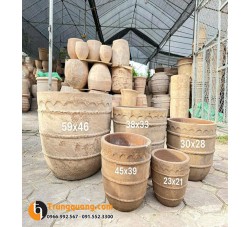 Chậu Đất Nung – Chậu Trồng Cây Mộc Mạc, Bền Đẹp