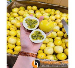 Cây Chanh Leo Vàng Ngọt Sân Vườn: Hương Vị Ngọt Thanh Đẳng Cấp, Phủ Giàn Che Mát & Mẹo Chăm Cho Cây Sai Trĩu Quả